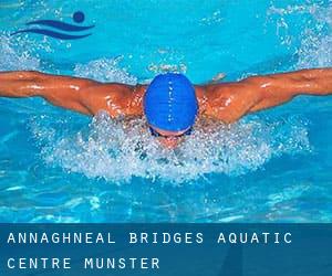 Annaghneal Bridges Aquatic Centre (Munster)