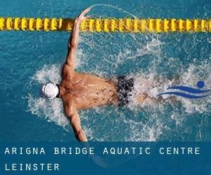 Arigna Bridge Aquatic Centre (Leinster)