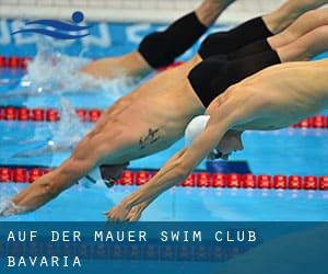 Auf der Mauer Swim Club (Bavaria)