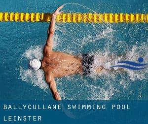 Ballycullane Swimming Pool (Leinster)