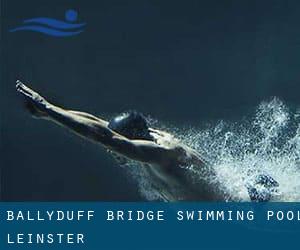 Ballyduff Bridge Swimming Pool (Leinster)