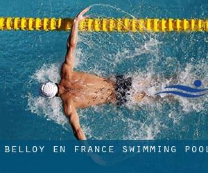 Belloy-en-France Swimming Pool