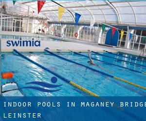 Indoor Pools in Maganey Bridge (Leinster)