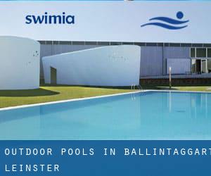 Outdoor Pools in Ballintaggart (Leinster)