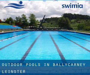 Outdoor Pools in Ballycarney (Leinster)