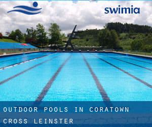 Outdoor Pools in Coratown Cross (Leinster)