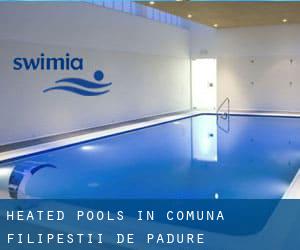 Heated Pools in Comuna Filipeştii de Pădure