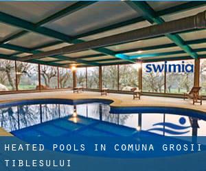 Heated Pools in Comuna Groşii Ţibleşului