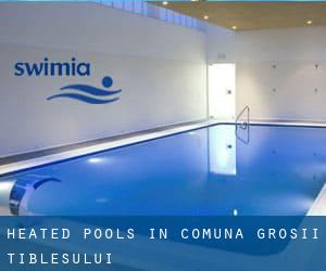 Heated Pools in Comuna Groşii Ţibleşului