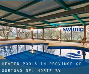 Heated Pools in Province of Surigao del Norte by Metropolis - page 1