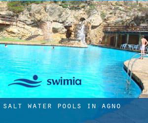 Salt Water Pools in Agno