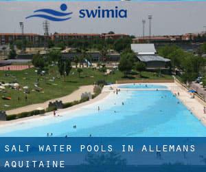 Salt Water Pools in Allemans (Aquitaine)