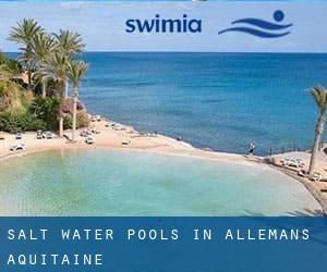 Salt Water Pools in Allemans (Aquitaine)