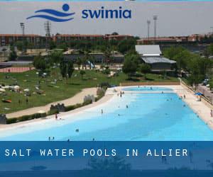 Salt Water Pools in Allier