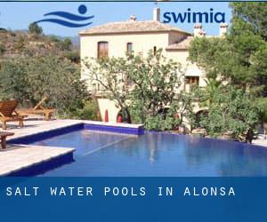 Salt Water Pools in Alonsa