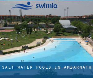 Salt Water Pools in Ambarnath