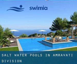 Salt Water Pools in Amravati Division