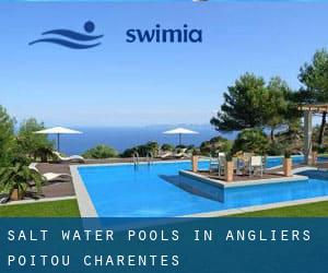 Salt Water Pools in Angliers (Poitou-Charentes)