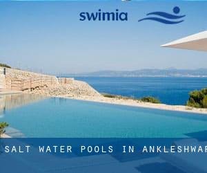 Salt Water Pools in Ankleshwar