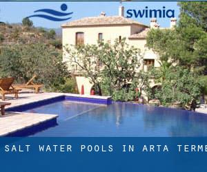 Salt Water Pools in Arta Terme