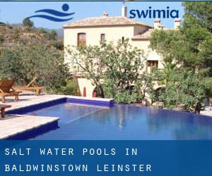 Salt Water Pools in Baldwinstown (Leinster)