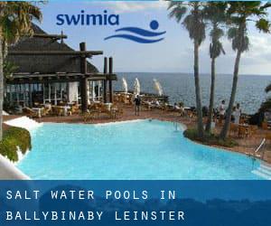 Salt Water Pools in Ballybinaby (Leinster)