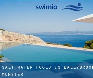 Salt Water Pools in Ballybrood (Munster)