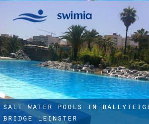 Salt Water Pools in Ballyteige Bridge (Leinster)