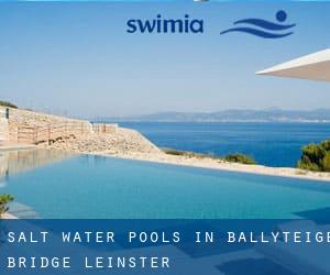 Salt Water Pools in Ballyteige Bridge (Leinster)