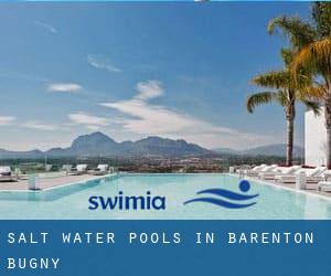 Salt Water Pools in Barenton-Bugny