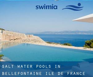 Salt Water Pools in Bellefontaine (Île-de-France)