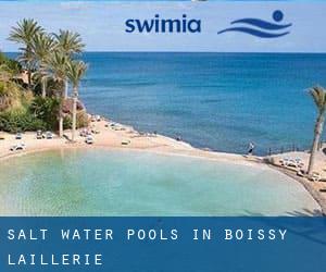 Salt Water Pools in Boissy-l'Aillerie