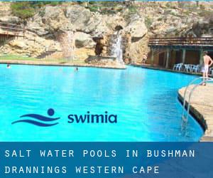 Salt Water Pools in Bushman Drannings (Western Cape)