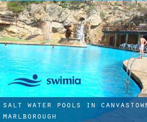 Salt Water Pools in Canvastown (Marlborough)