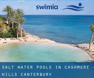 Salt Water Pools in Cashmere Hills (Canterbury)