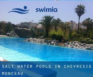 Salt Water Pools in Chevresis-Monceau