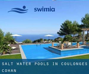 Salt Water Pools in Coulonges-Cohan