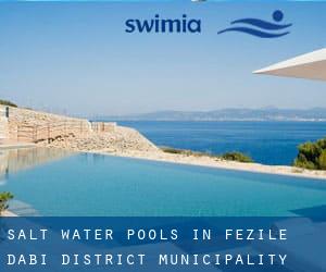 Salt Water Pools in Fezile Dabi District Municipality