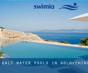 Salt Water Pools in Golovchino