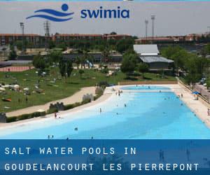 Salt Water Pools in Goudelancourt-lès-Pierrepont