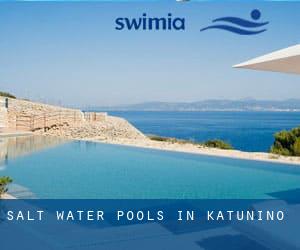 Salt Water Pools in Katunino