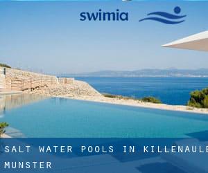 Salt Water Pools in Killenaule (Munster)