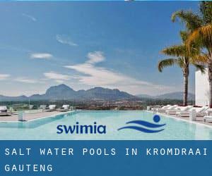 Salt Water Pools in Kromdraai (Gauteng)