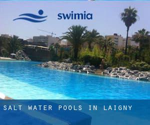 Salt Water Pools in Laigny