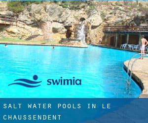 Salt Water Pools in Le Chaussendent