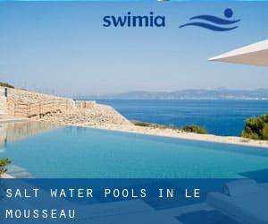 Salt Water Pools in Le Mousseau