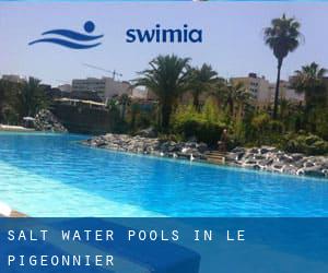 Salt Water Pools in Le Pigeonnier