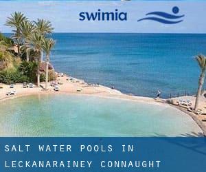 Salt Water Pools in Leckanarainey (Connaught)