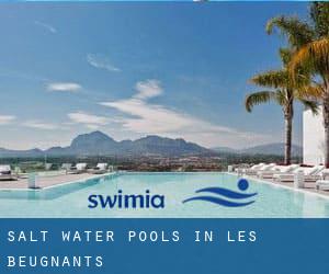 Salt Water Pools in Les Beugnants