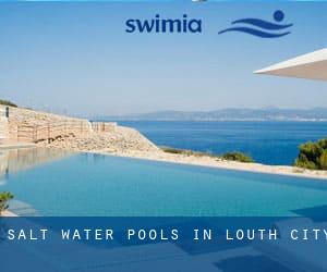 Salt Water Pools in Louth (City)